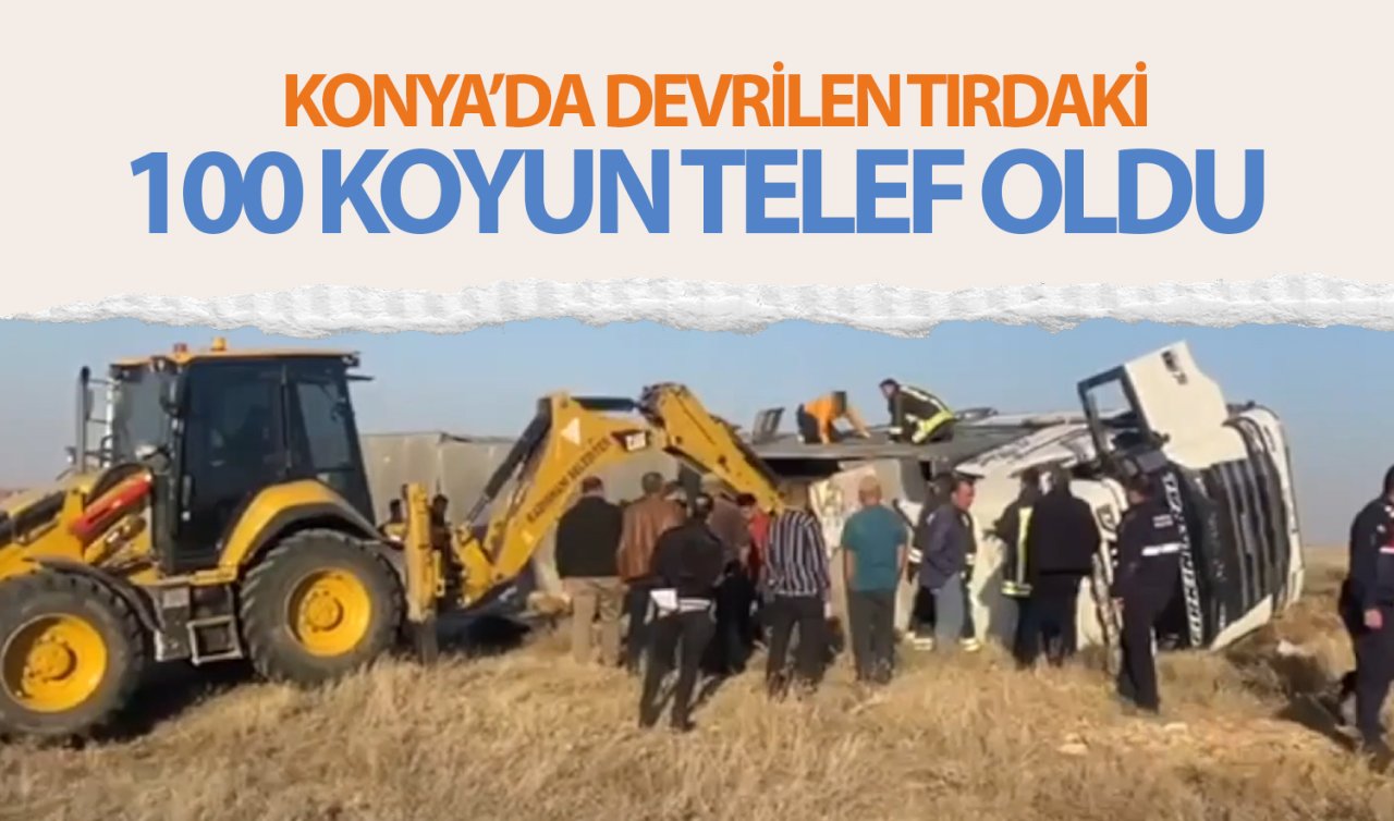 Konya’da devrilen tırdaki 100 koyun telef oldu