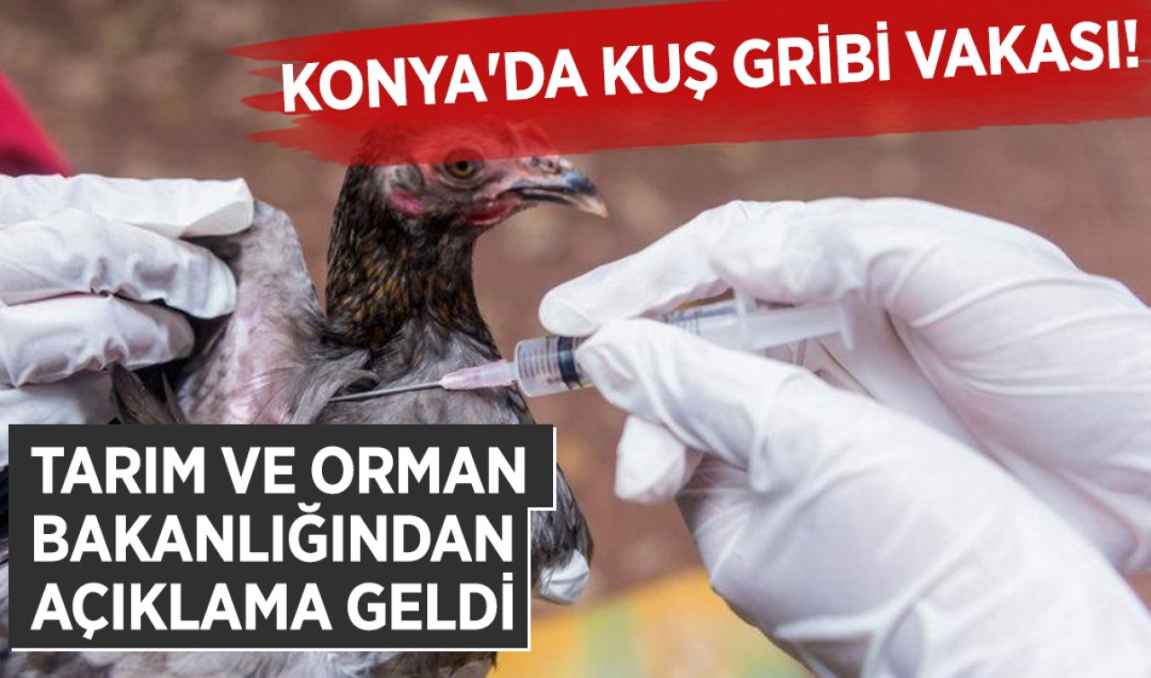 Konya’da kuş gribi vakası! Tarım ve Orman Bakanlığından açıklama geldi 