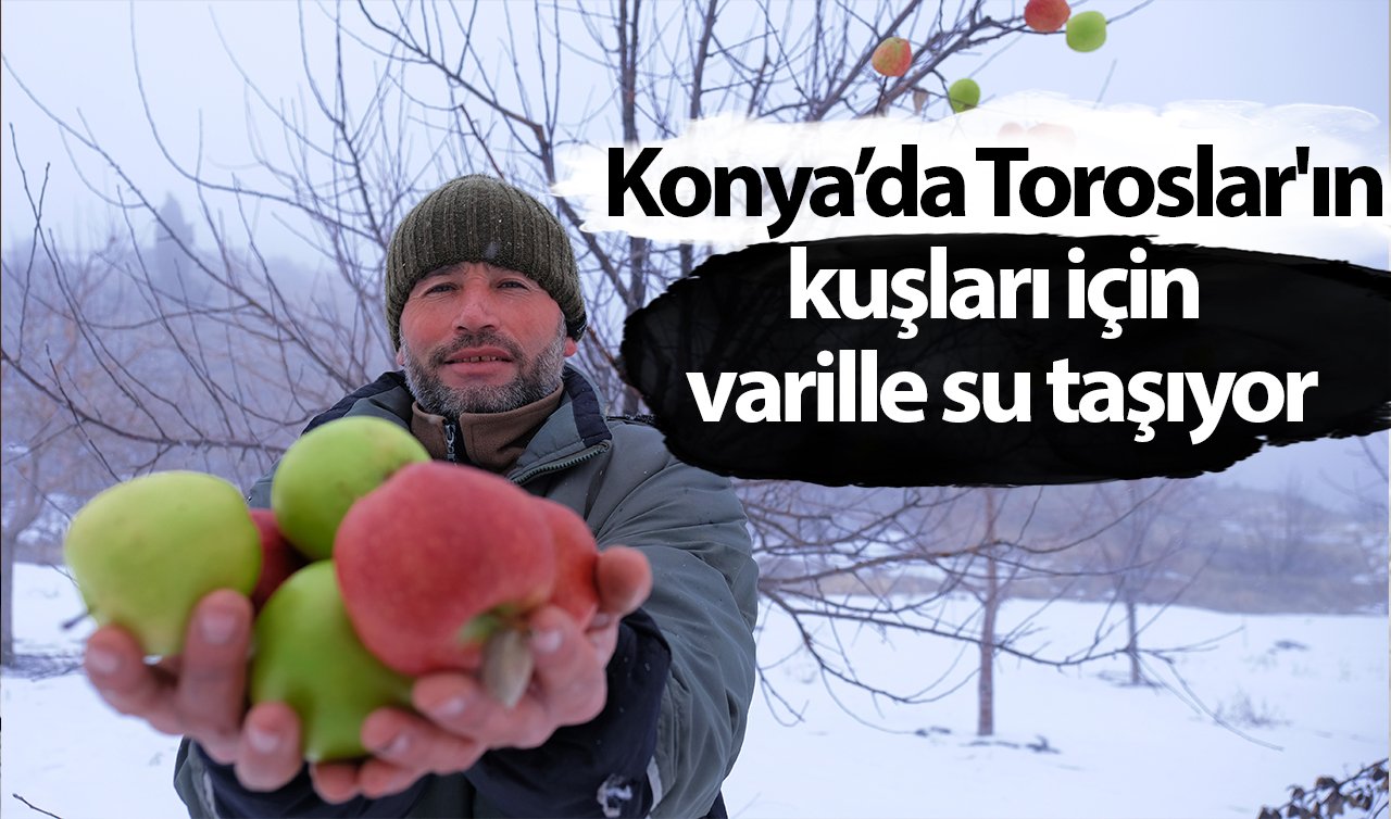 Konya’da Toroslar’ın kuşları için varille su taşıyor