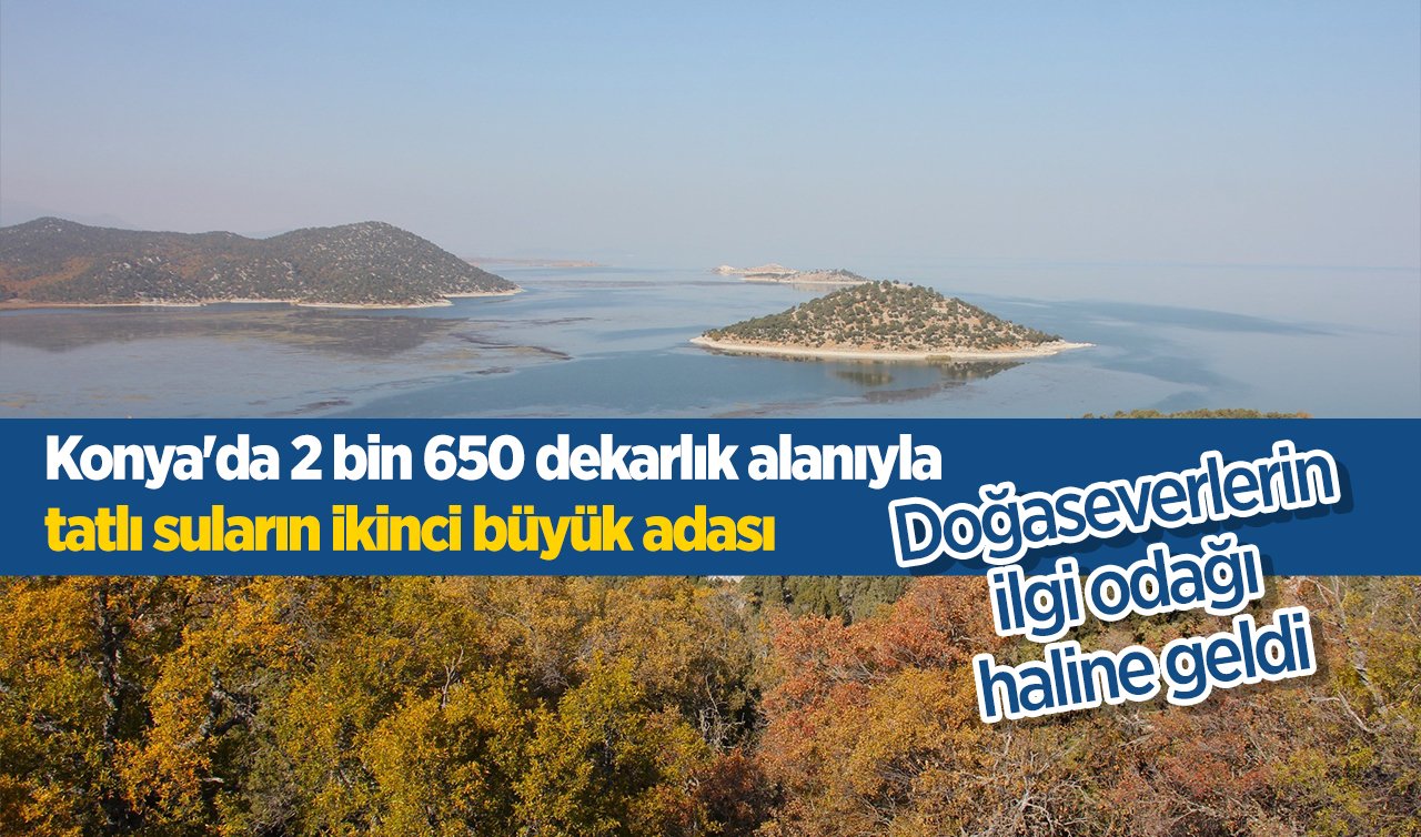 Konya’da 2 bin 650 dekarlık alanıyla tatlı suların ikinci büyük adası ilgi odağı 