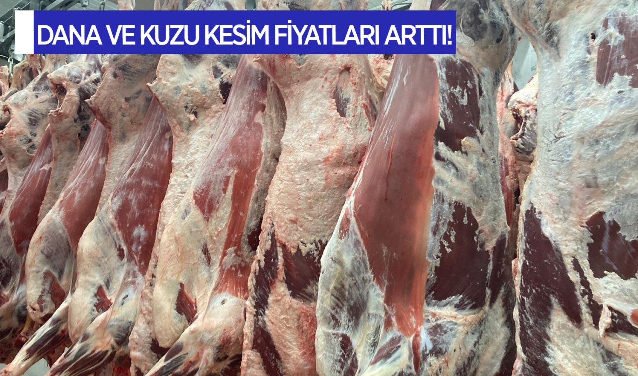 Dana ve kuzu kesim fiyatı arttı! Dana ve kuzu karkas et kesim fiyatı kaç TL?