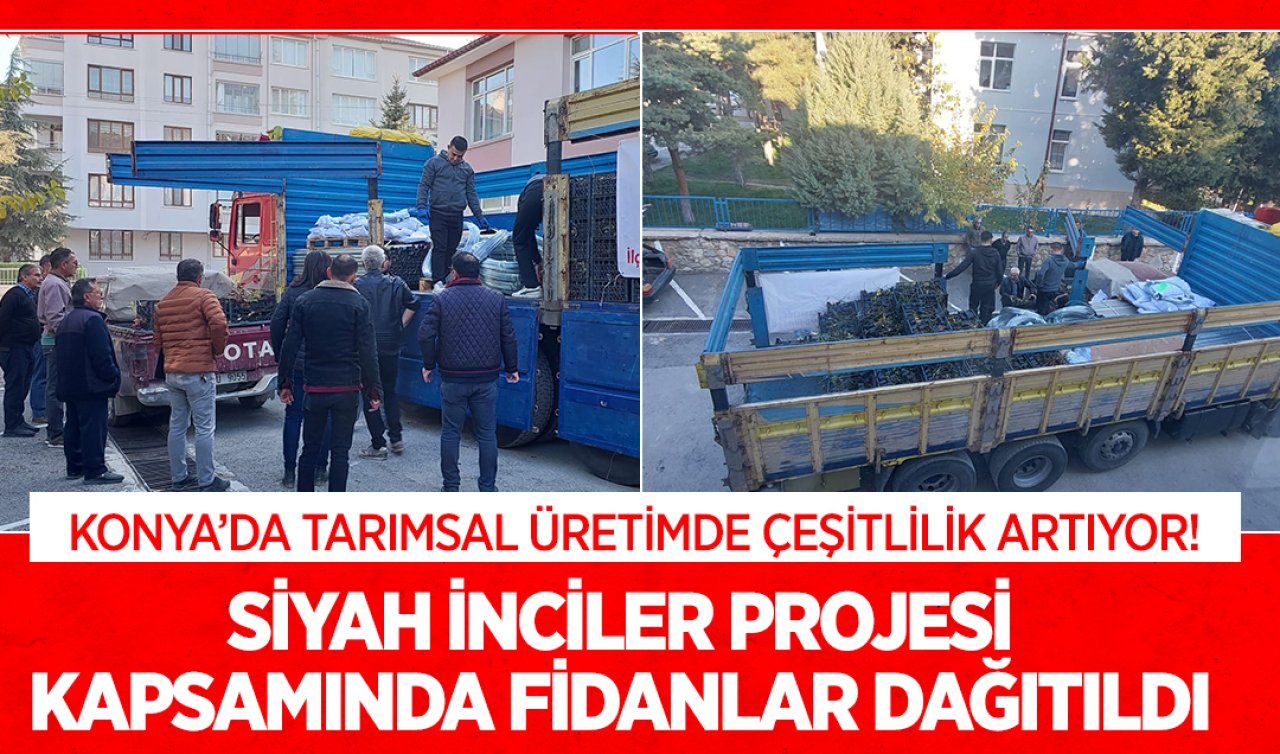  Konya’da tarımsal üretimde çeşitlilik artıyor! Siyah İnciler Projesi kapsamında fidanlar dağıtıldı