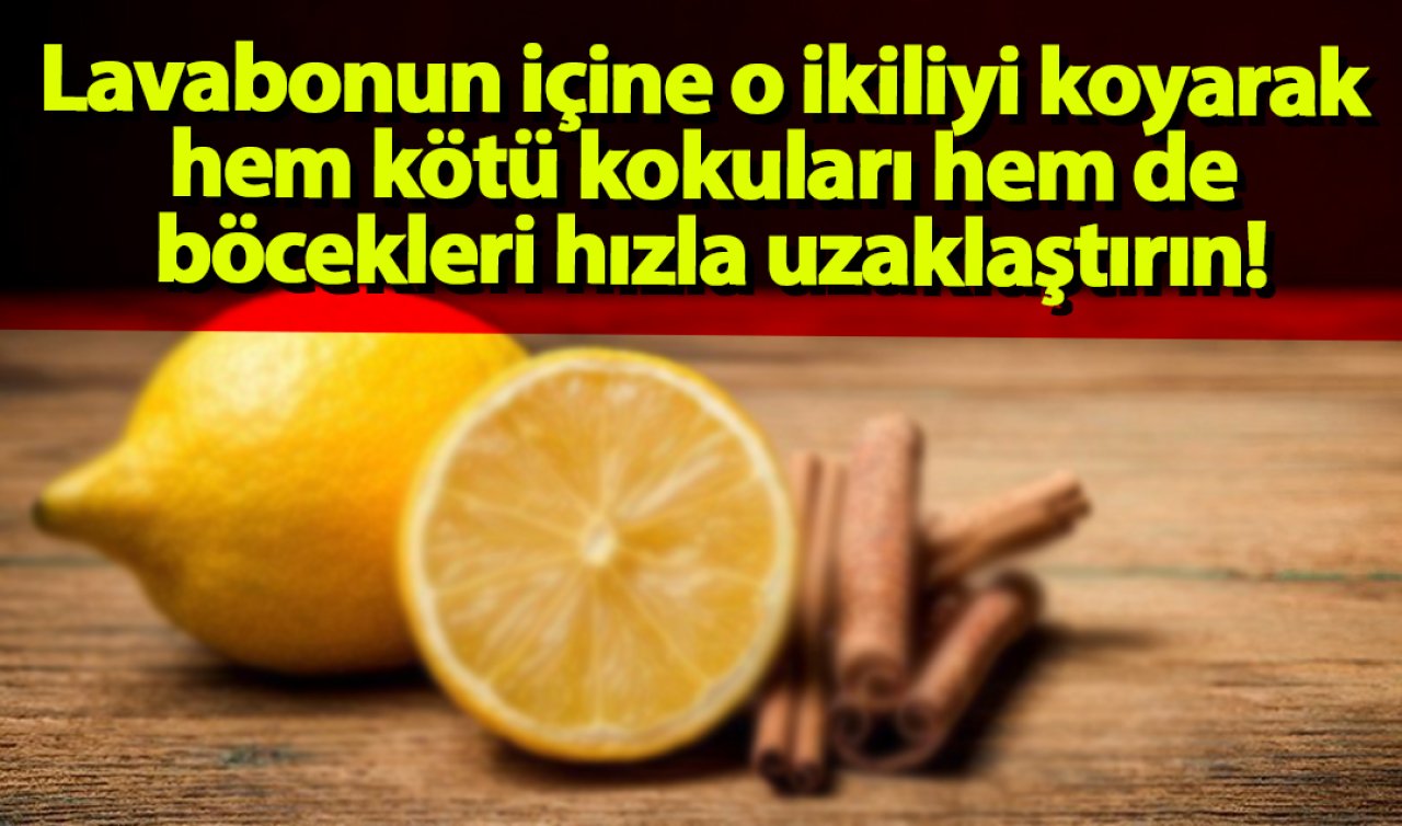 Lavabonun içine o ikiliyi koyarak hem kötü kokuları hem de böcekleri hızla uzaklaştırın!