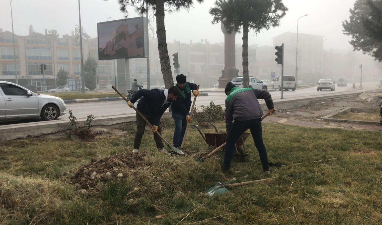 Konya’nın bu ilçesinde ağaçlandırma çalışmaları devam ediyor! 