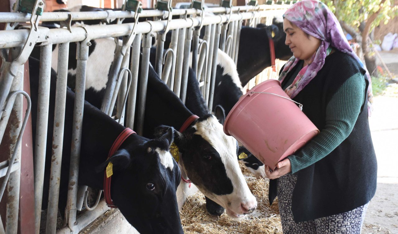 Hediye keçiyle hayvancılığa başladı; sürü sahibi oldu