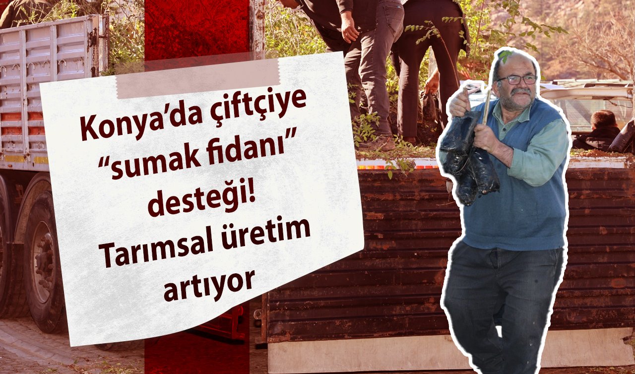 Konya’da çiftçiye “sumak’’ desteği! Tarımsal üretim artıyor 