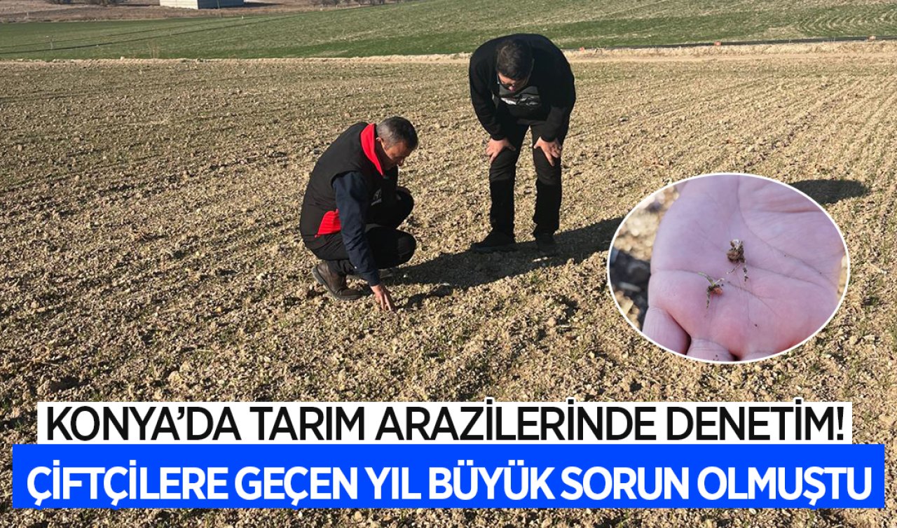 Konya’da tarım arazilerinde denetim! Çiftçilere geçen yıl büyük sorun olmuştu