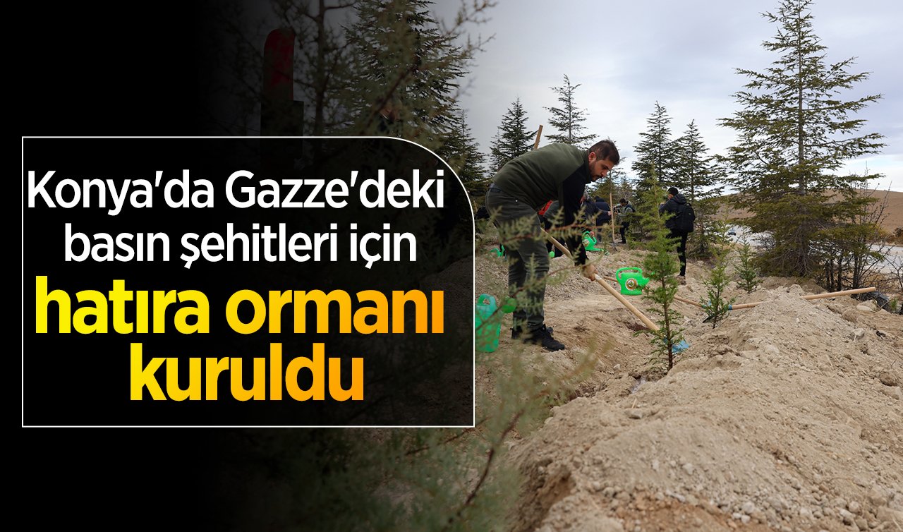  Konya’da Gazze’deki basın şehitleri için hatıra ormanı kuruldu