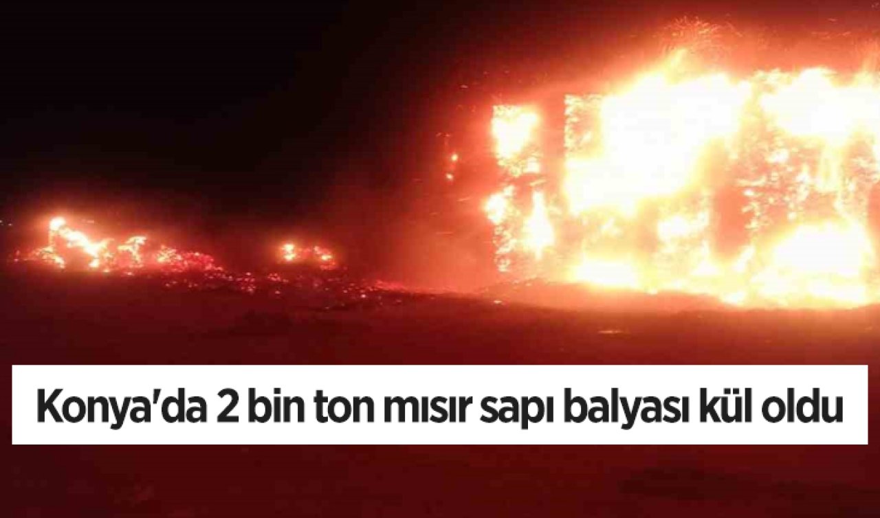 Konya’da 2 bin ton mısır sapı balyası kül oldu