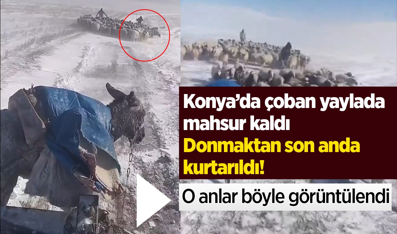 Konya’da çoban yaylada mahsur kaldı: Donmaktan son anda kurtarıldı! O anlar böyle görüntülendi 