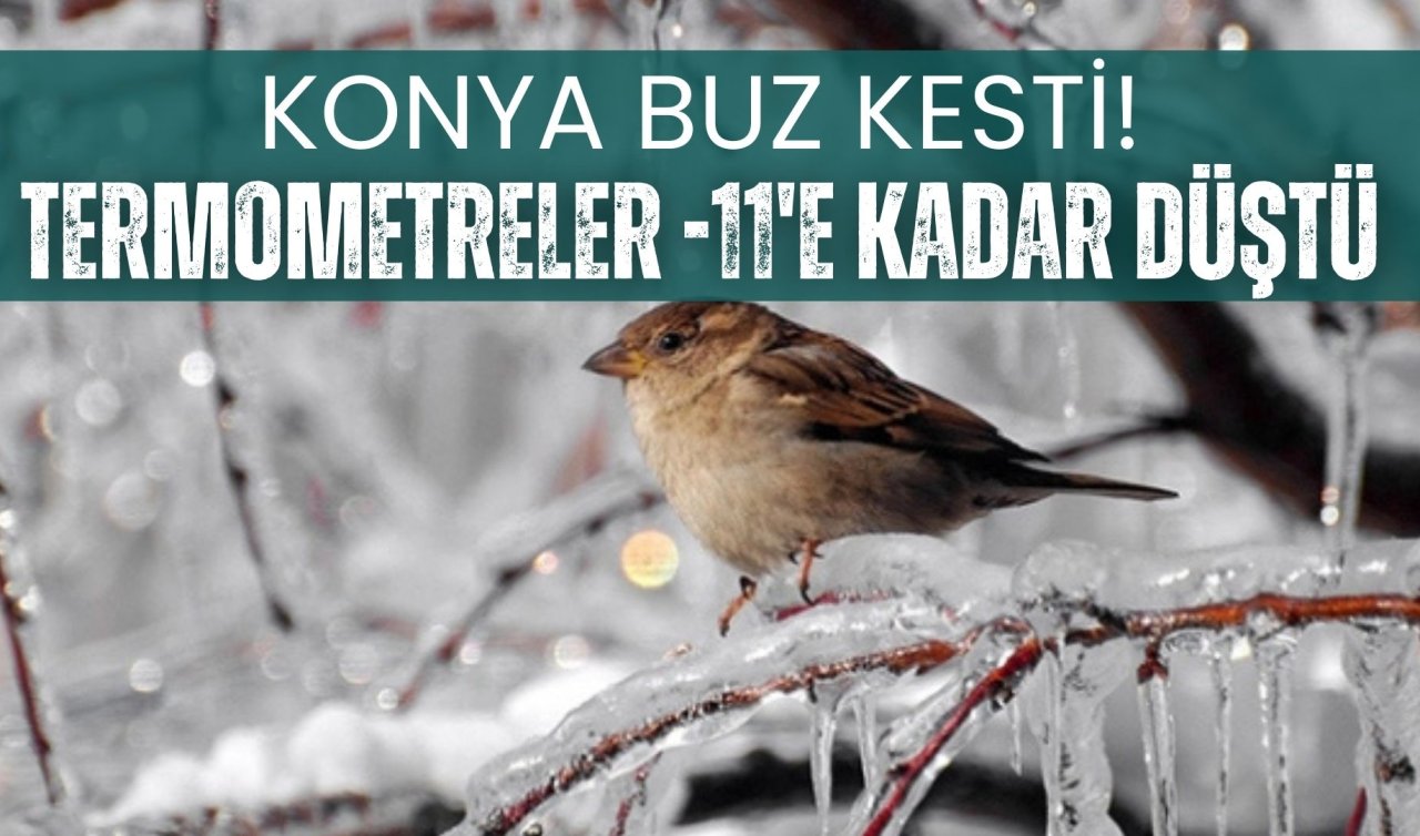 Konya’da dondurucu soğuklar etkili oldu: Termometreler eksi 11’e kadar düştü