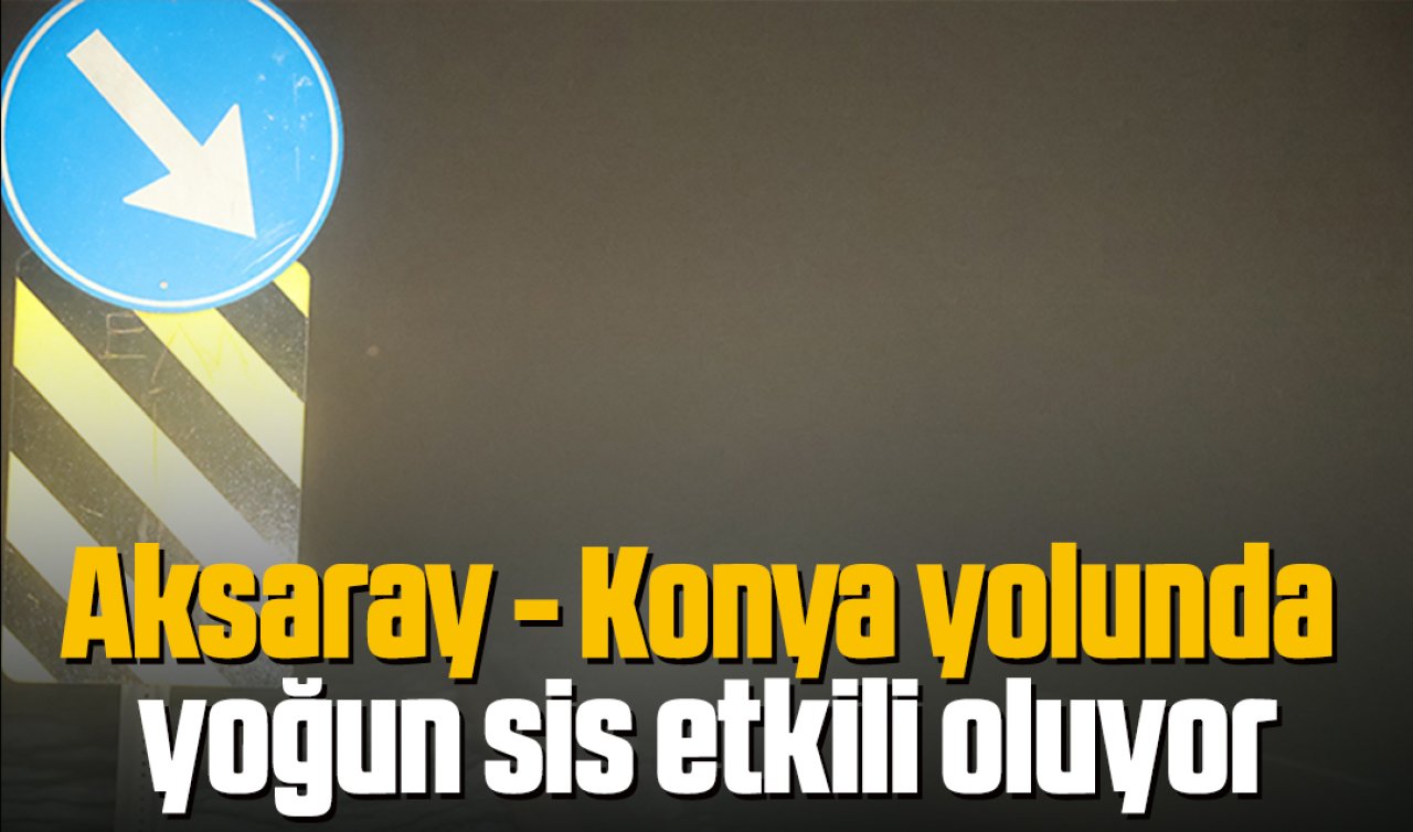 Aksaray - Konya yolunda yoğun sis etkili oluyor