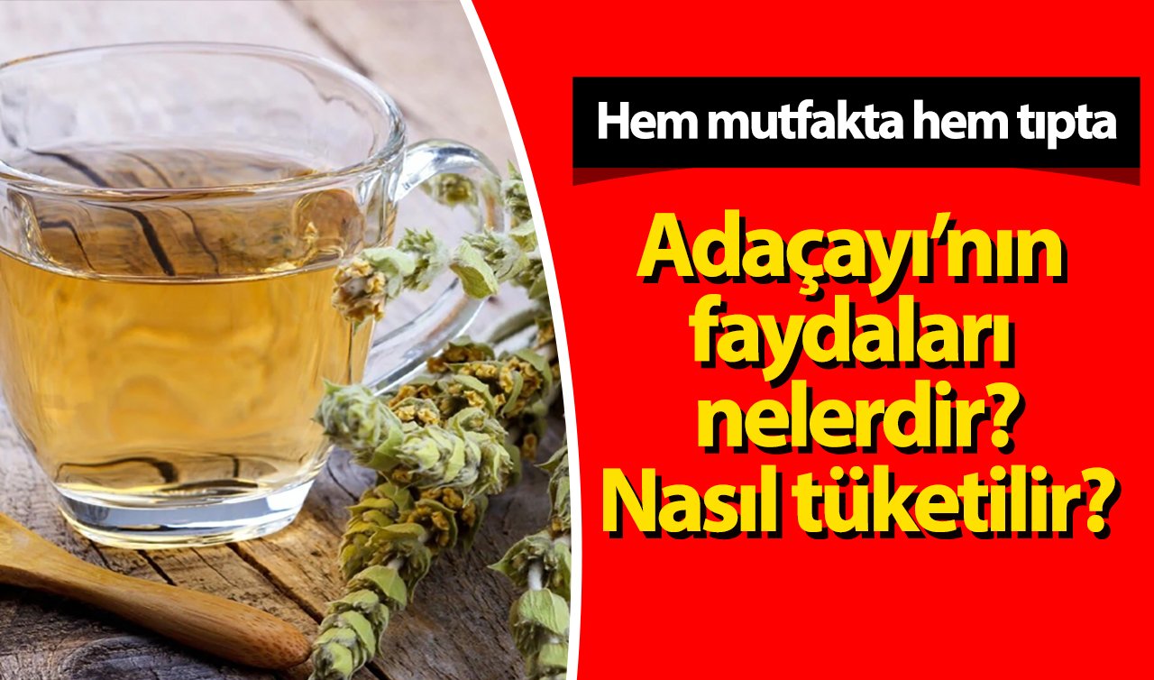 Hem mutfakta hem tıpta! Adaçayının faydaları nelerdir? 