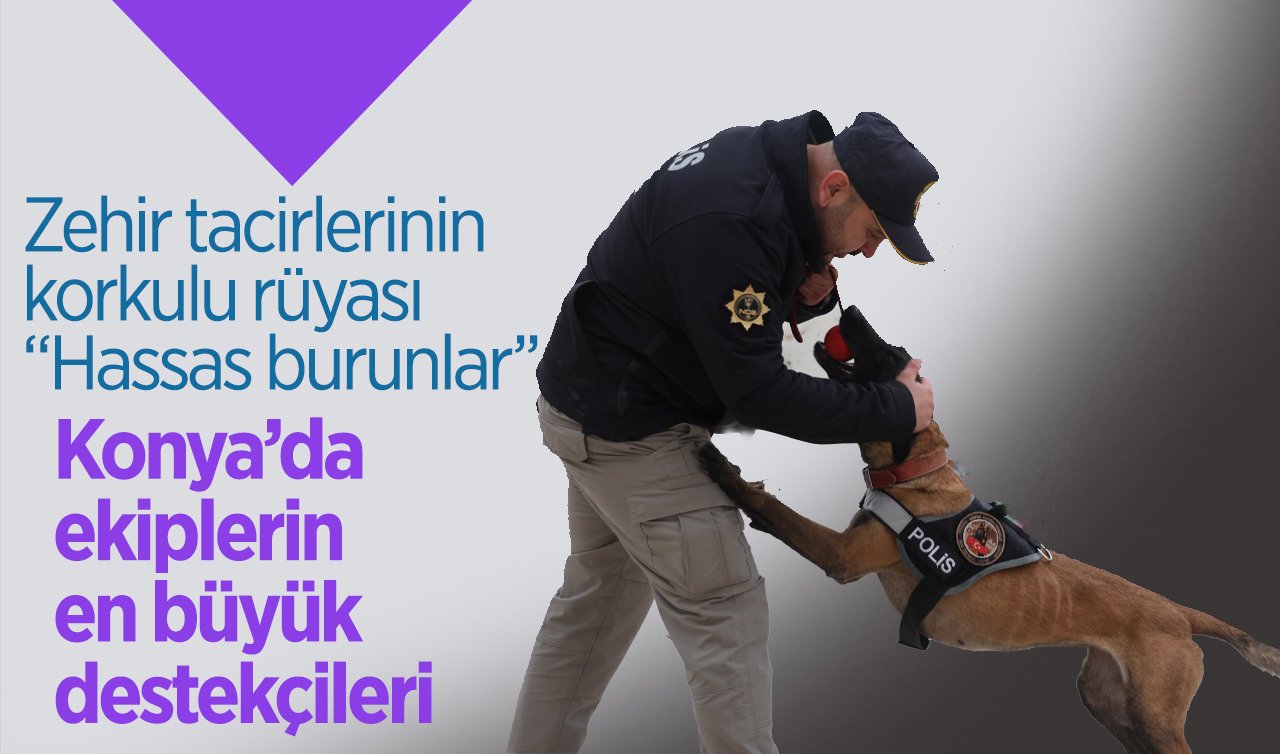 Zehir tacirlerinin korkulu rüyası “Hassas burunlar’’! Konya’da ekiplerin en büyük destekçileri