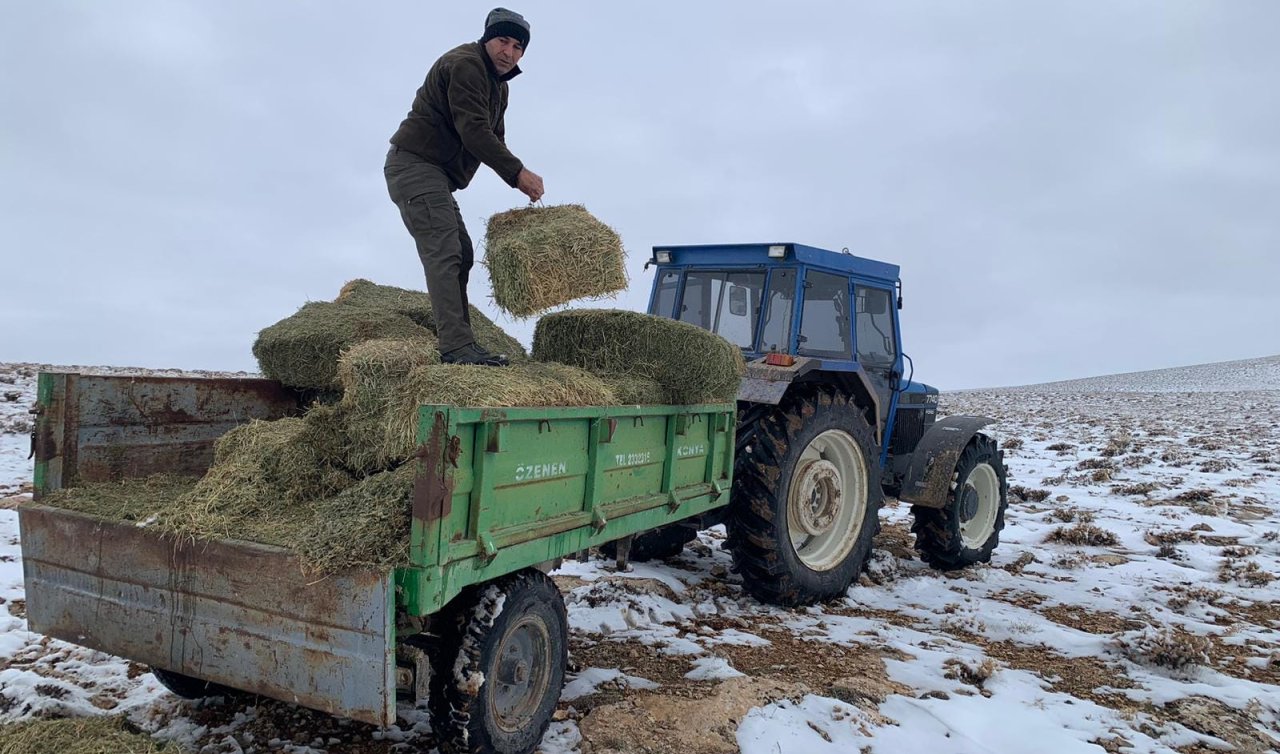 Konya’da 500 kilogram ot yaban hayvanları için doğaya bırakıldı!  