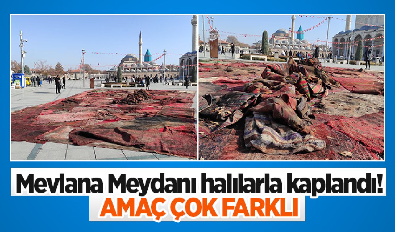 Mevlana Meydanı halılarla kaplandı! Amaç çok farklı