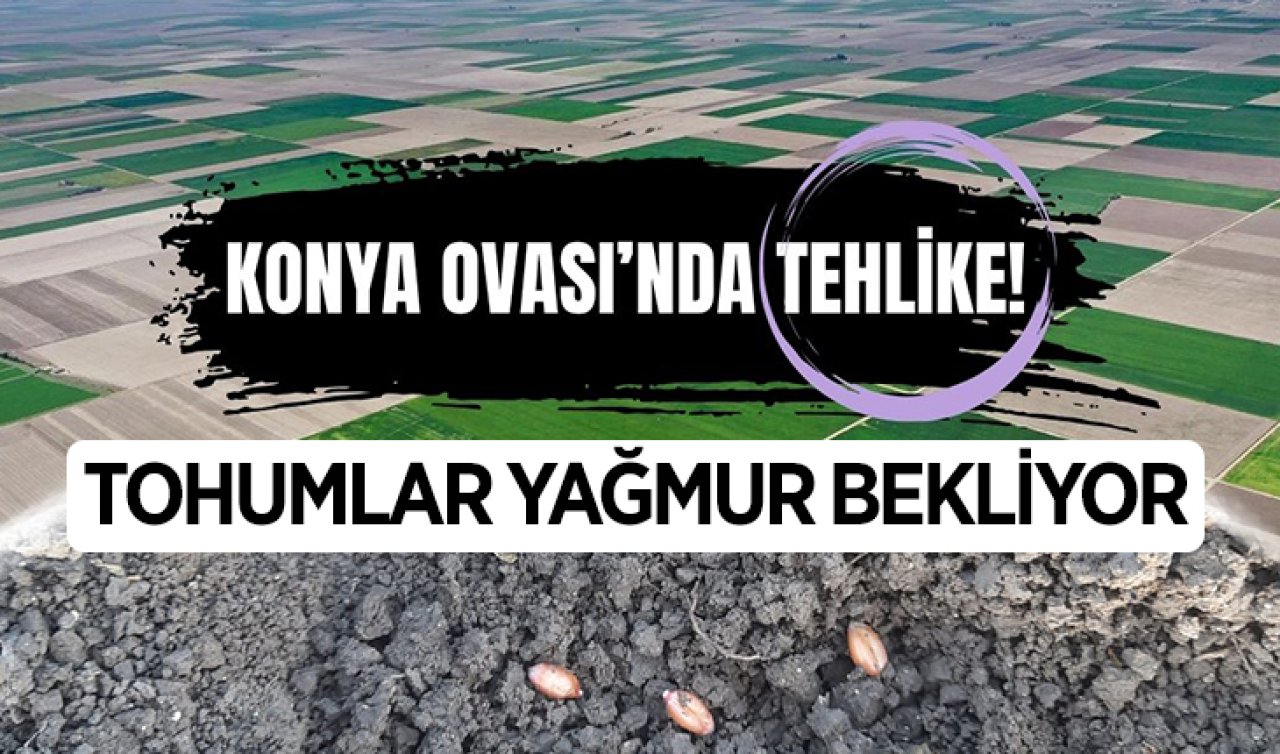 Konya Ovası’nda tehlike! Tohumlar yağmur bekliyor