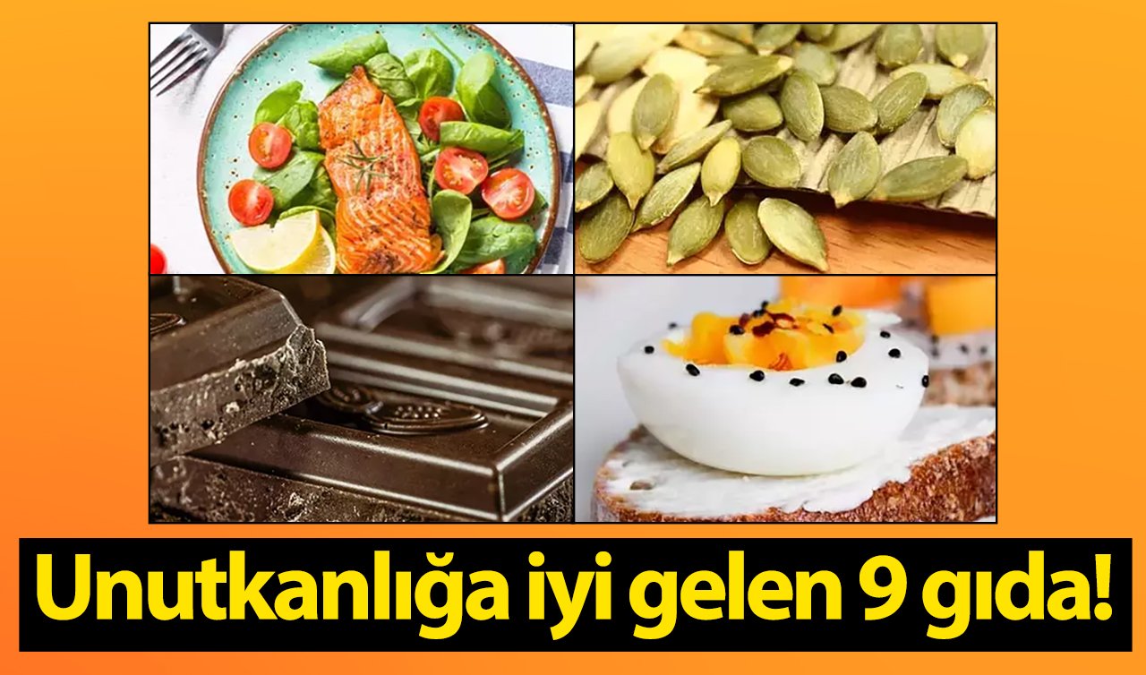 Unutkanlığa iyi gelen 9 gıda!