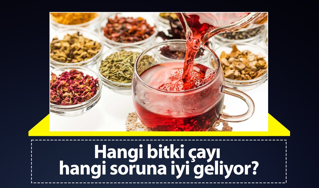 Hangi bitki çayı hangi soruna iyi geliyor?