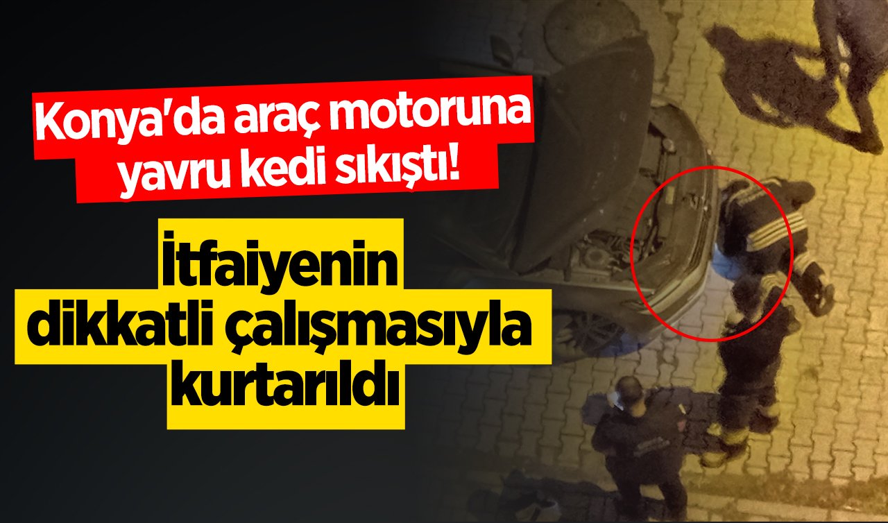 Konya’da araç motoruna yavru kedi sıkıştı! İtfaiyenin dikkatli çalışmasıyla kurtarıldı