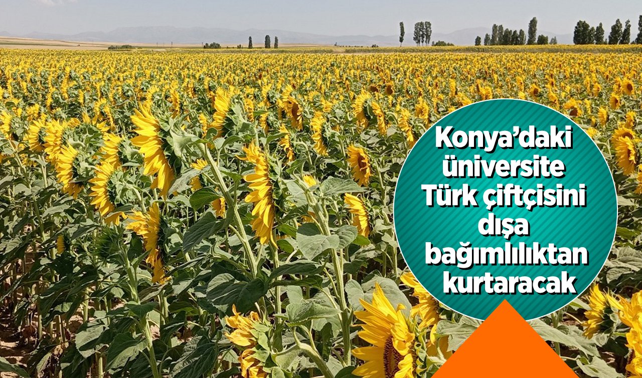 Konya’daki üniversite Türk çiftçisini dışa bağımlılıktan kurtaracak