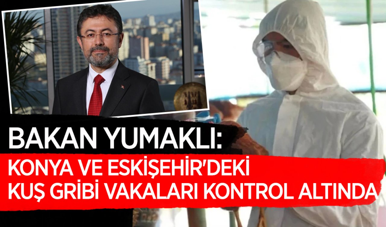 Bakan Yumaklı: Konya ve Eskişehir’deki kuş gribi vakaları kontrol altında