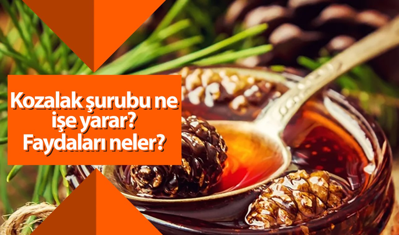 Kozalak şurubu ne işe yarar? Faydaları neler? Hangi hastalıklara karşı etkilidir?