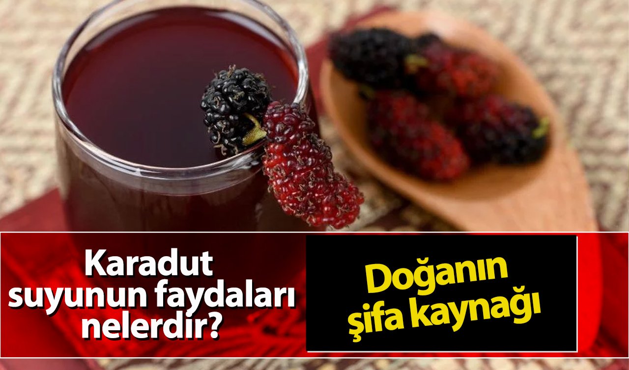  Karadut suyunun faydaları nelerdir?