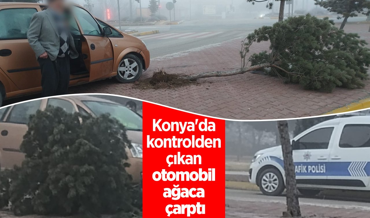 Konya’da kontrolden çıkan otomobil ağaca çarptı