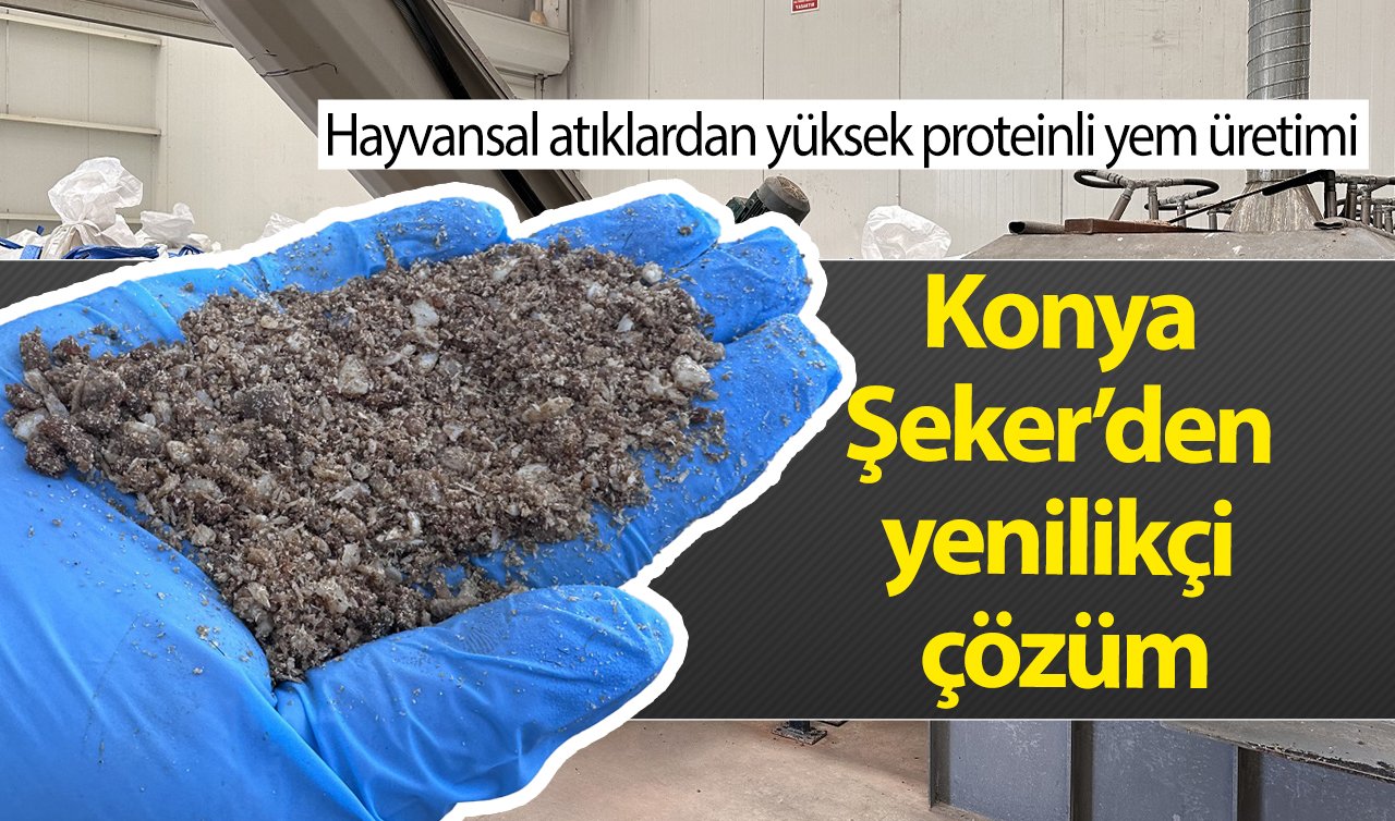 Konya Şeker’den yenilikçi çözüm! Hayvansal atıklardan yüksek proteinli yem üretimi