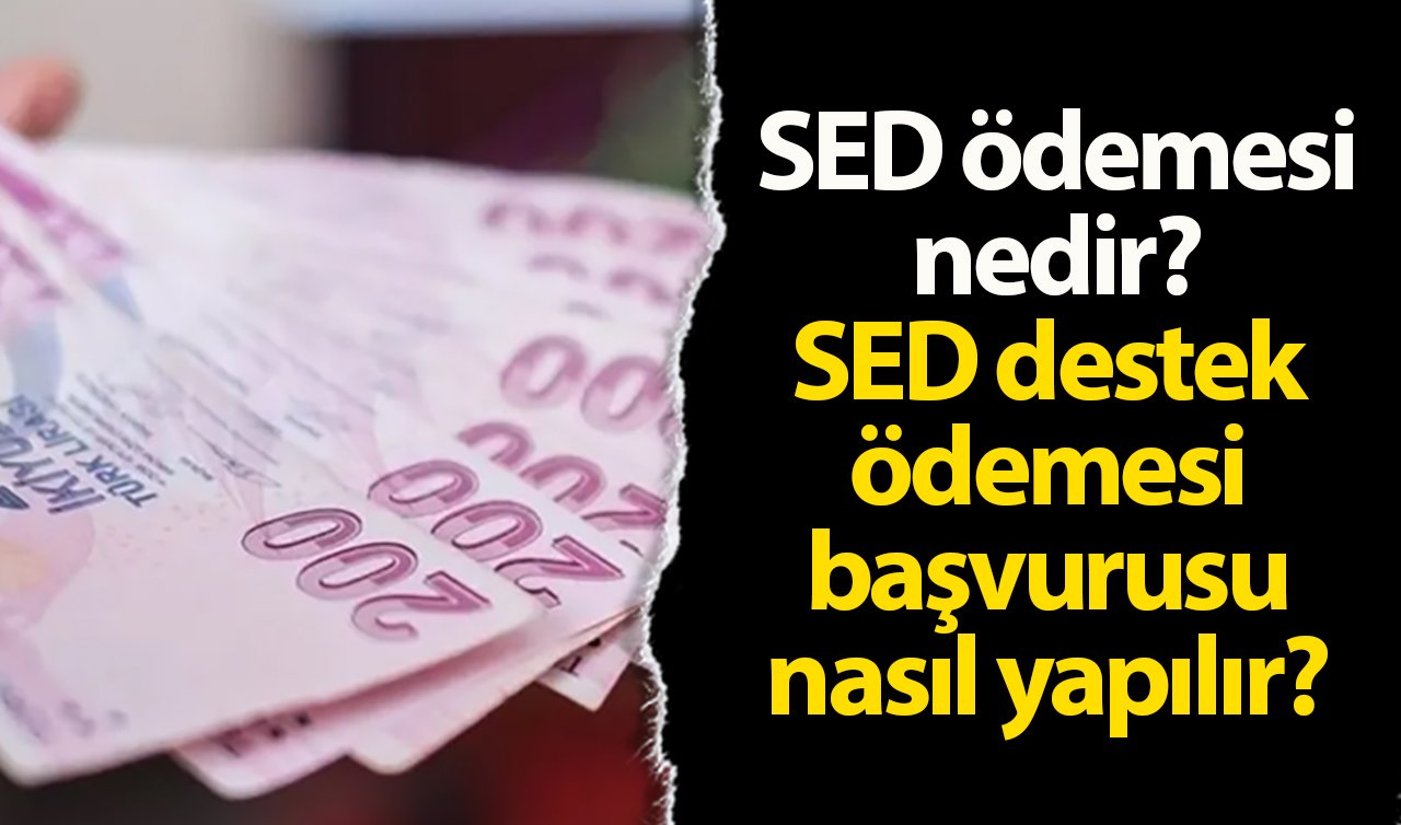 SED ödemesi nedir? Kimler yararlanabilir? SED destek ödemesi başvurusu nasıl yapılır?