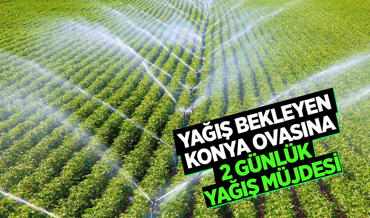 Yağış bekleyen Konya Ovasına 2 günlük yağış müjdesi!