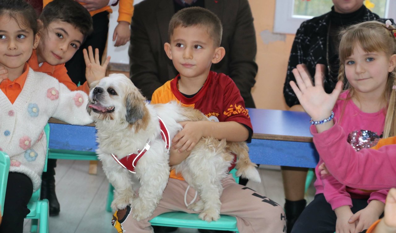 Bitkin ve hasta bulunan “Şeker’’ okulda öğrencilerin ilgisiyle hayata tutundu