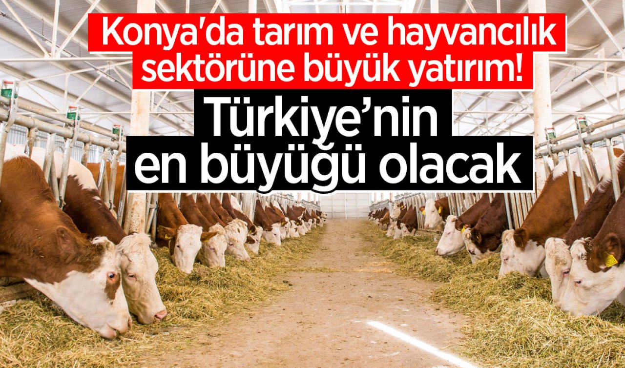 Konya’da tarım ve hayvancılık sektörüne büyük yatırım! Türkiye’nin en büyüğü olacak