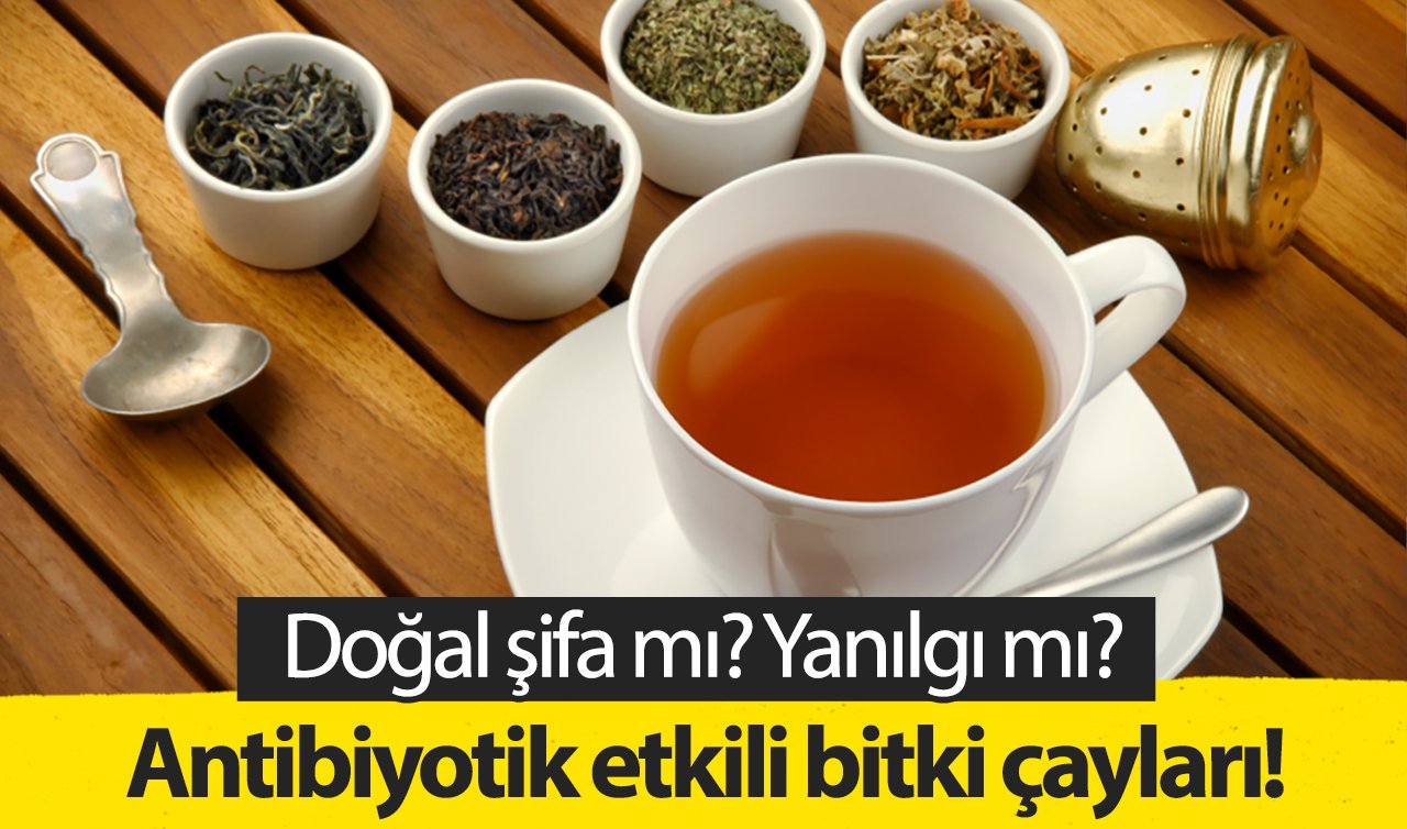 Antibiyotik etkili bitki çayları! Doğal şifa mı? Yanılgı mı?