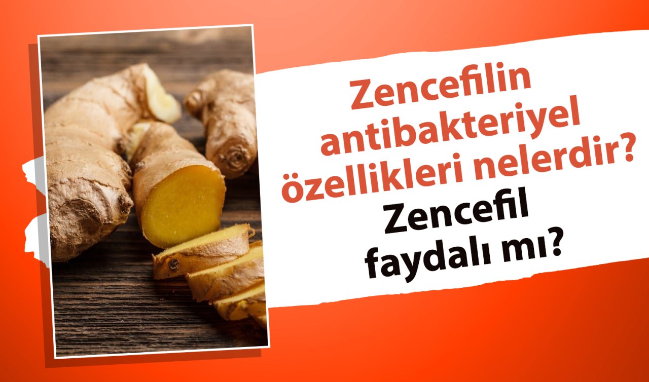 Zencefil doğal antibiyotik mi? Zencefil nasıl tüketilmeli?