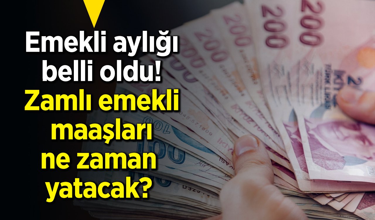 2025 Emekli aylığı belli oldu! Zamlı emekli maaşları ne zaman yatacak? Emekliler zamlı maaşlarını ocak ayında alır mı? 