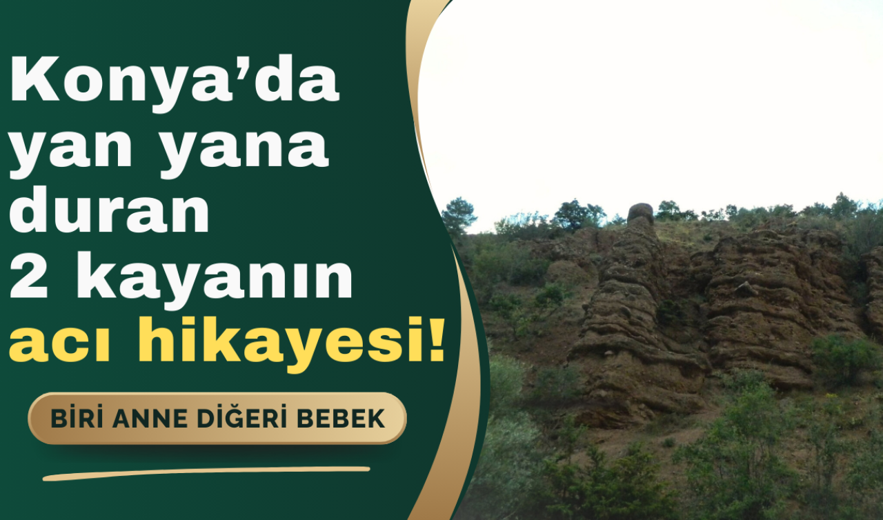 Konya’da yan yana duran 2 kayanın acı hikayesi! Biri anne diğeri bebek