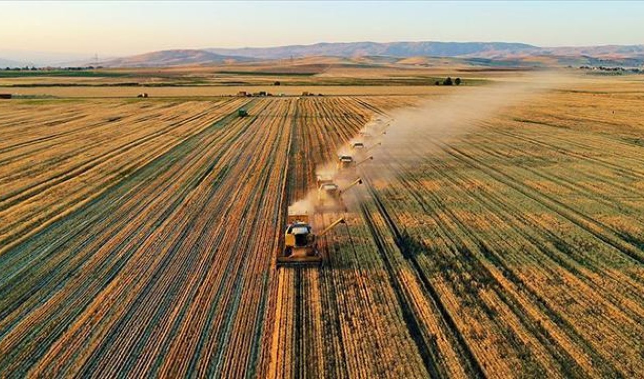  Tarımsal destekleme ödemeleri bugün hesaplara aktarılıyor