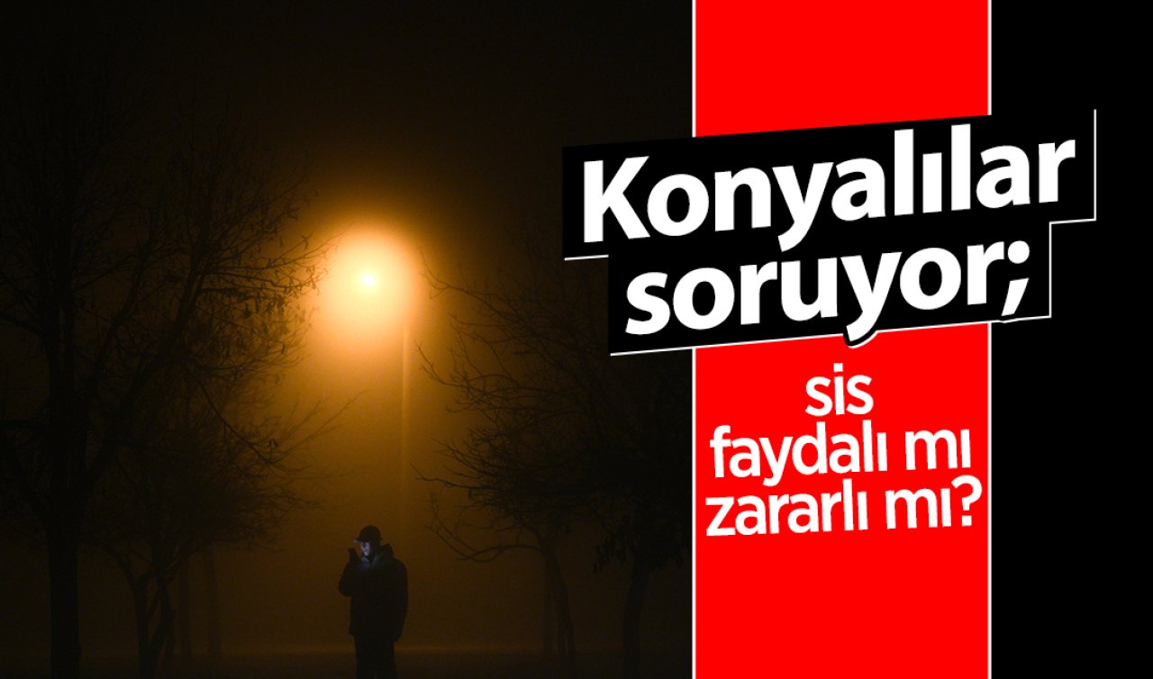 Sis Konya’yı yuttu! Sis faydalı mı, zararlı mı? 