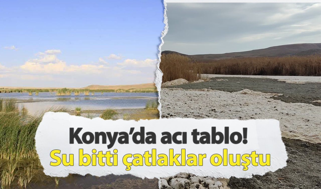  Konya’da acı tablo! Su bitti çatlaklar oluştu 