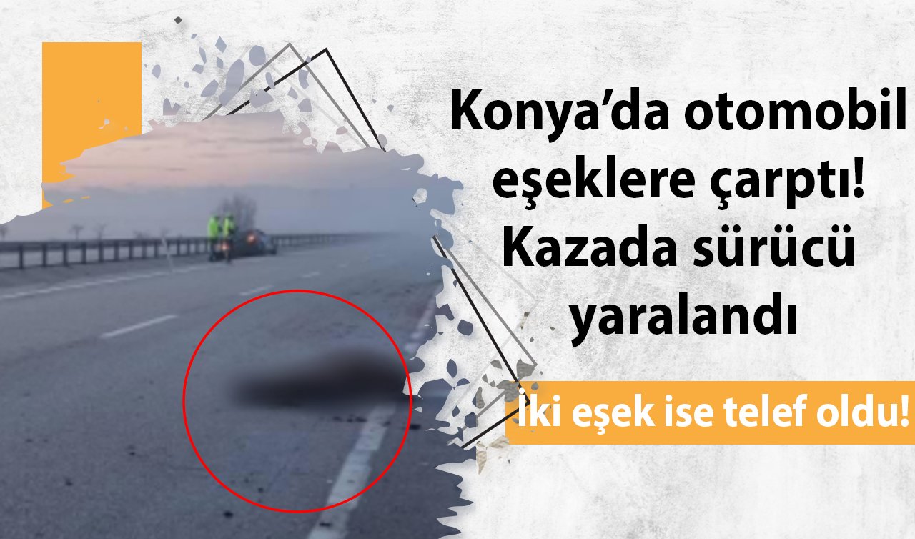 Konya’da otomobil eşeklere çarptı! Kazada sürücü yaralandı: İki eşek ise telef oldu!