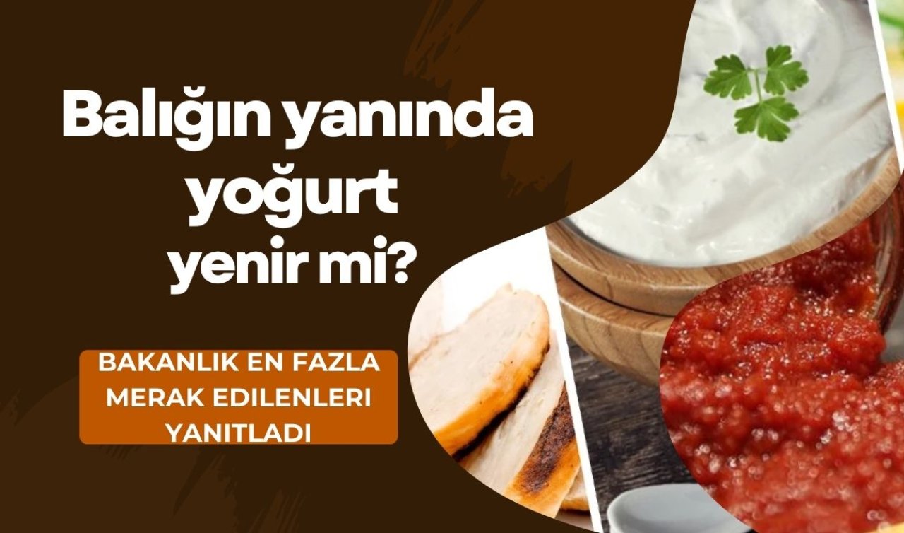 Balığın yanında yoğurt yenir mi? İşte en çok merak edilen sorulara bakanlığın yanıtları