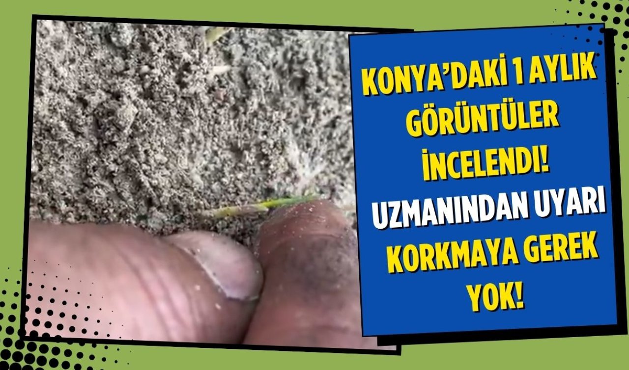 Konya’daki 1 aylık görüntüler incelendi!  Uzmanından uyarı: Korkmaya gerek yok!