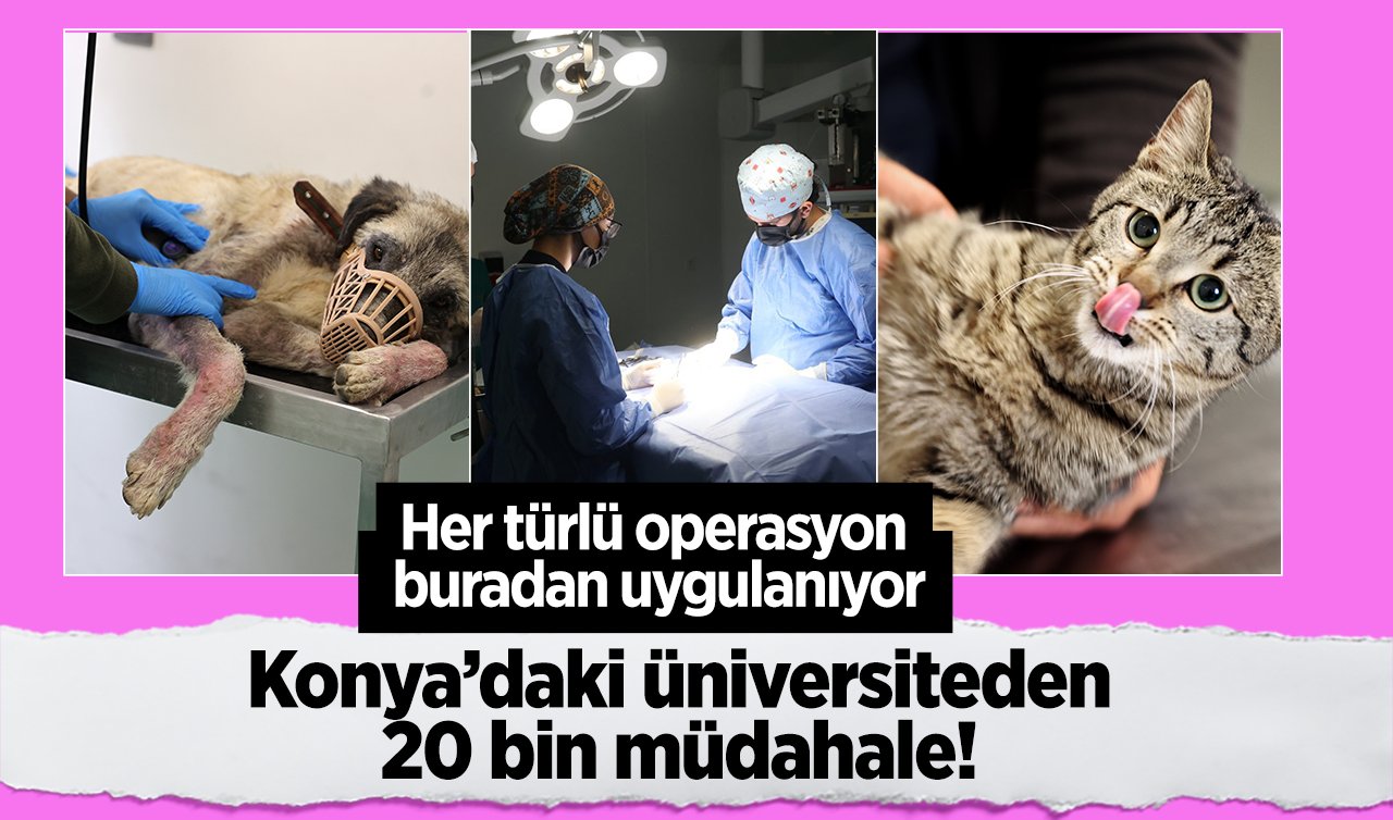 Konya’daki üniversiteden 20 bin müdahale! Her türlü operasyon buradan uygulanıyor