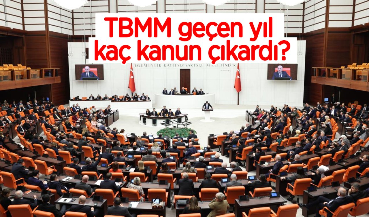 TBMM geçen yıl kaç kanun çıkardı?