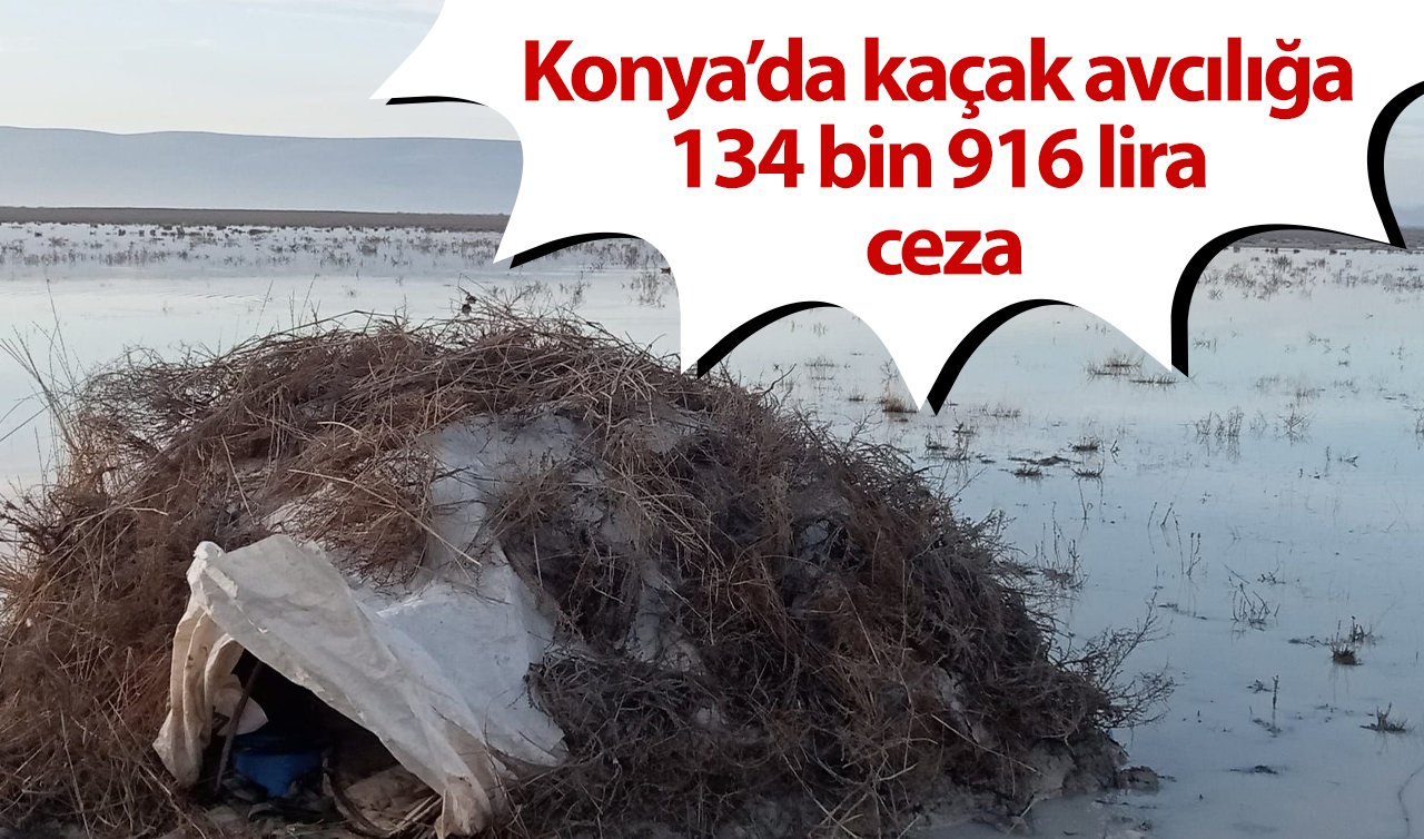 Konya’da kaçak avcılığa 134 bin 916 lira ceza