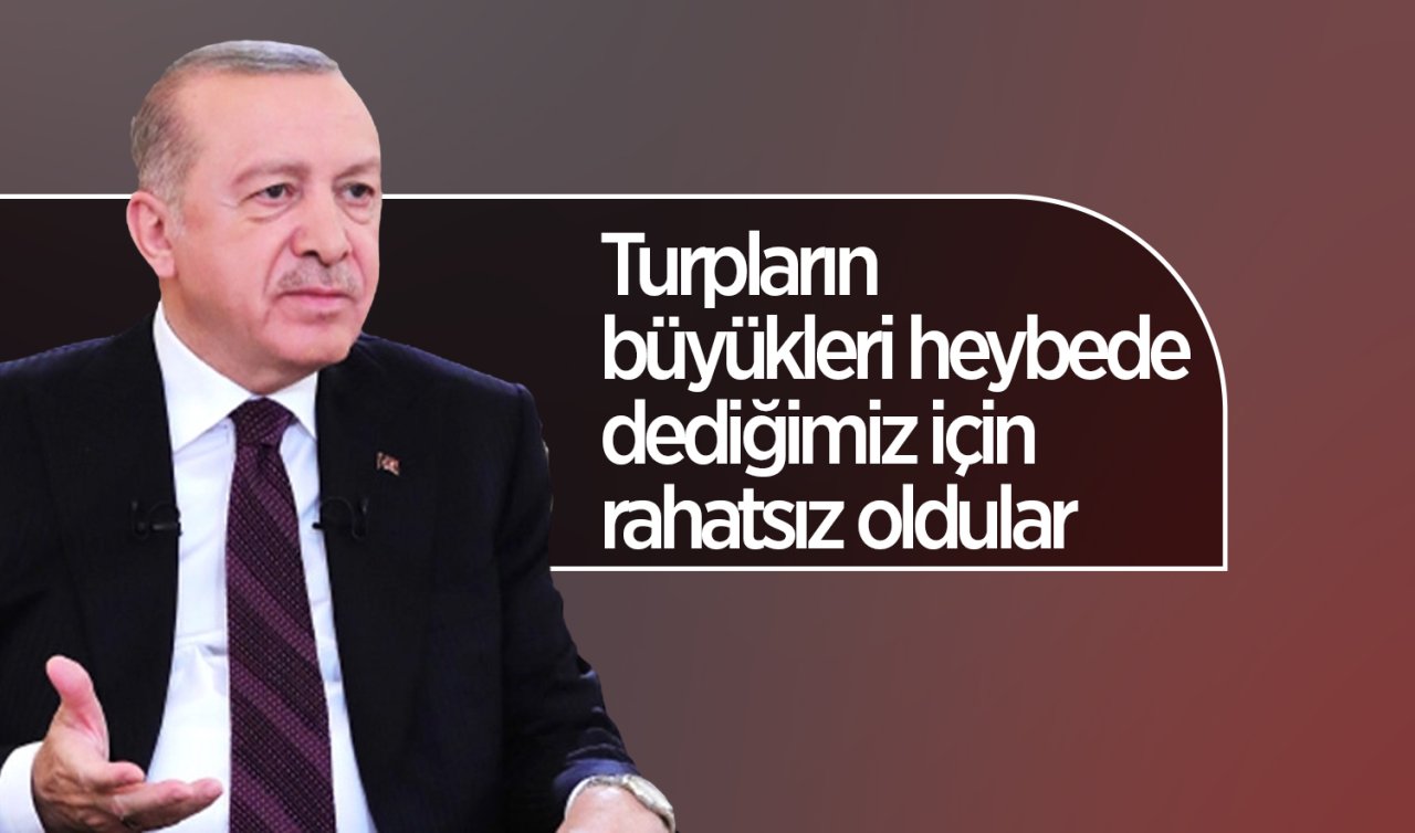 Cumhurbaşkanı Erdoğan: Turpların büyükleri heybede dediğimiz için rahatsız oldular