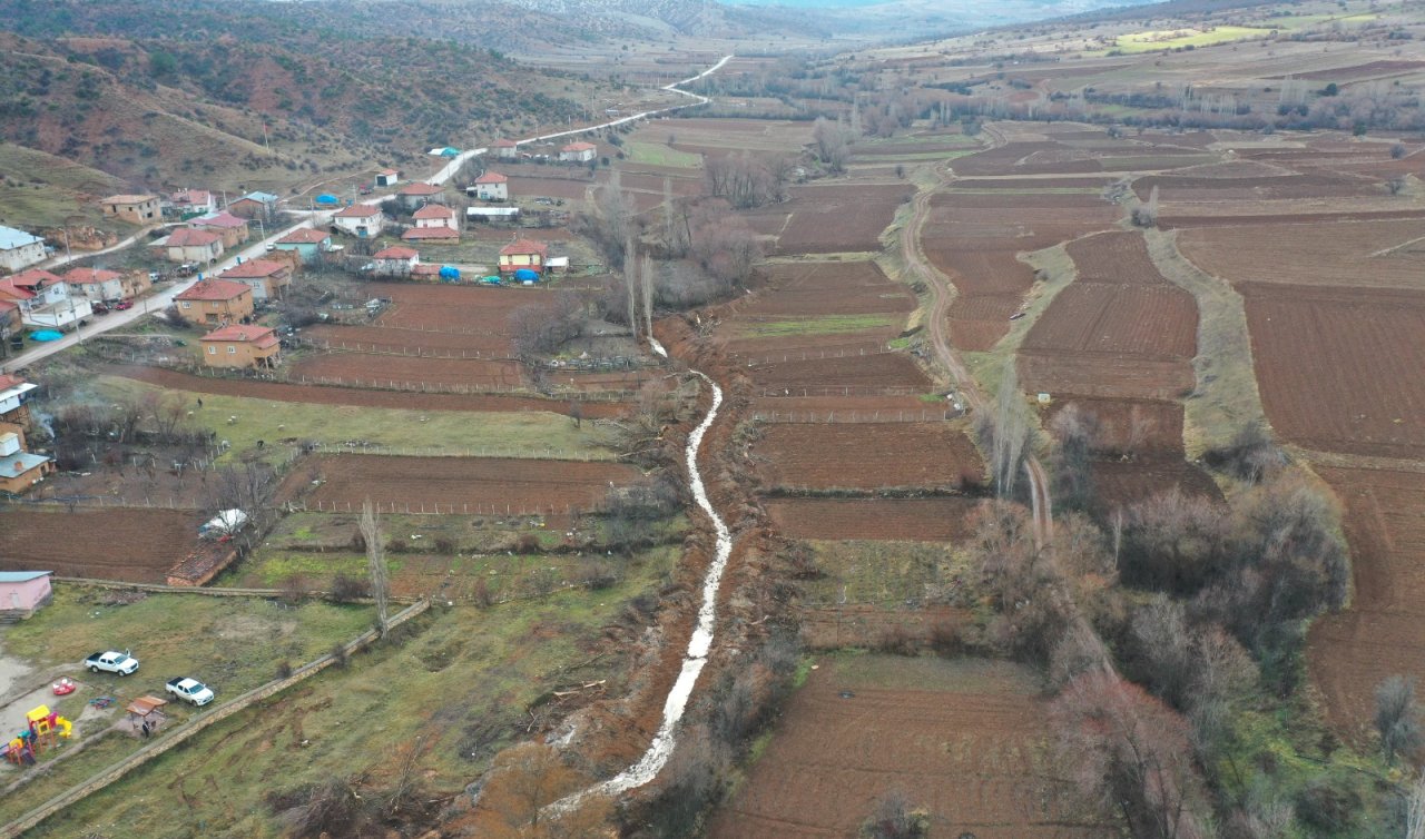 Yeşil karıncalar Konya’nın bu ilçesinde! 