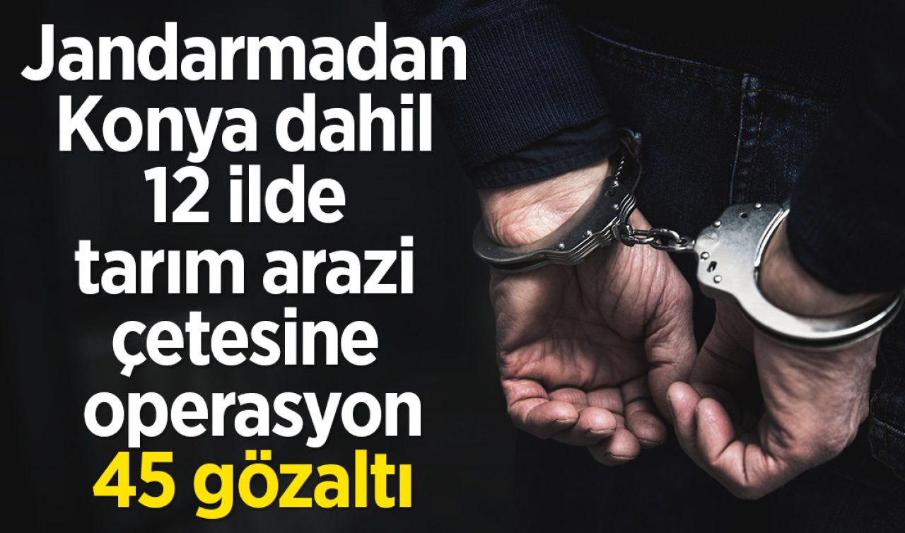 Jandarmadan Konya dahil 12 ilde tarım arazi çetesine operasyon: 45 gözaltı